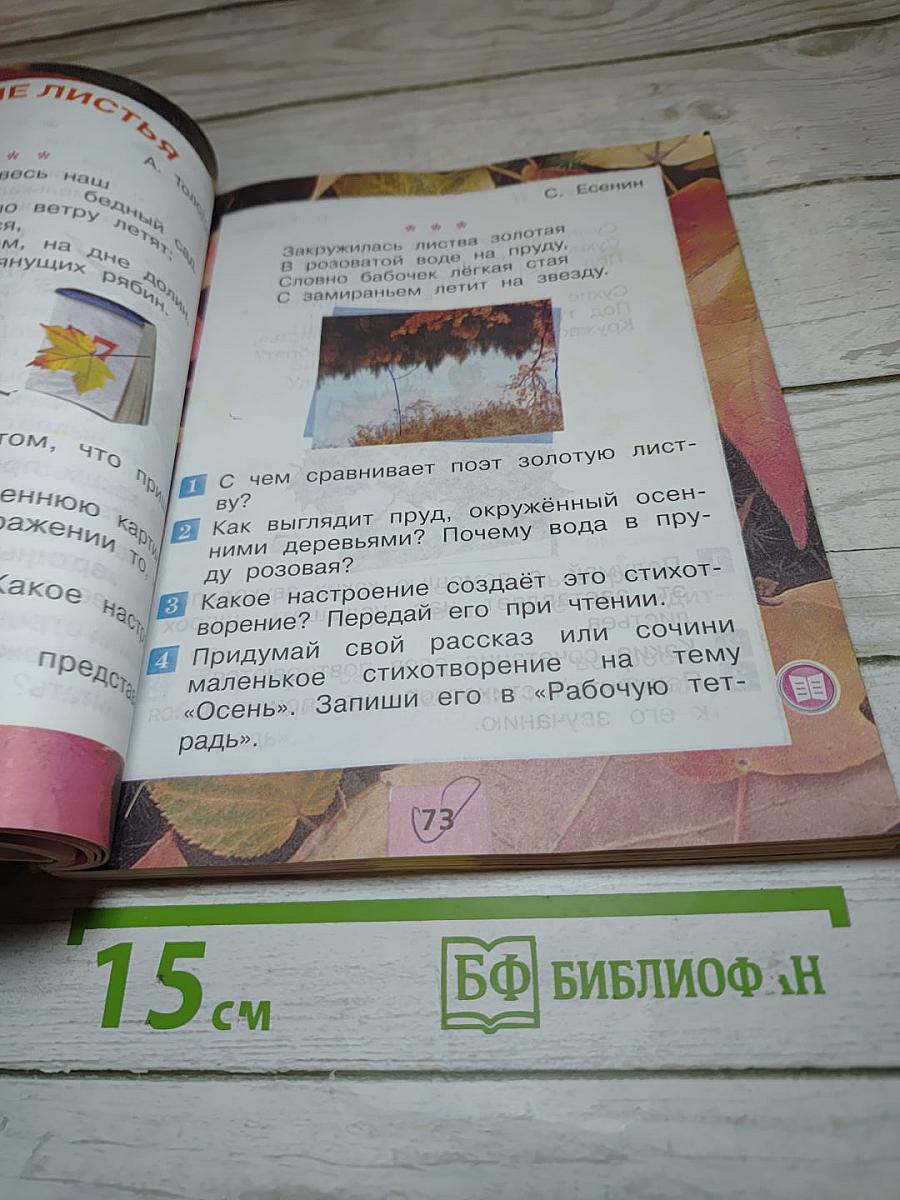 Литературное чтение. 2 класс. Часть 1