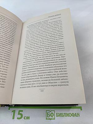 Попытка возврата