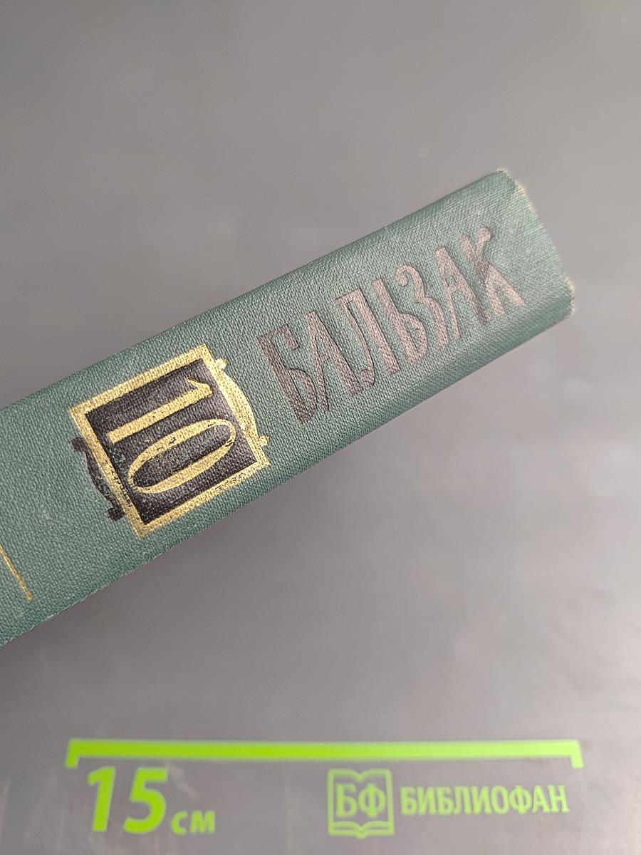 Человеческая комедия. Этюды о нравах. Сцены парижской жизни. Блеск и нищета куртизанок. Том 10