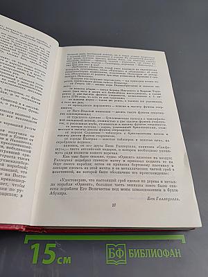 Луиза Сан-Феличе. Том 11