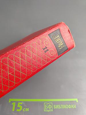 Луиза Сан-Феличе. Том 11