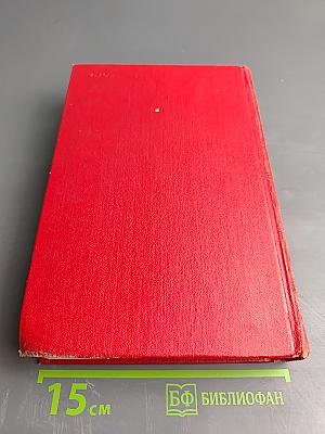 Луиза Сан-Феличе. Том 11