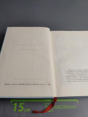 Горшечные растения