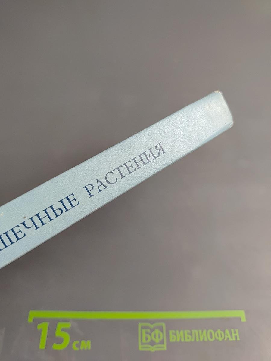 Горшечные растения