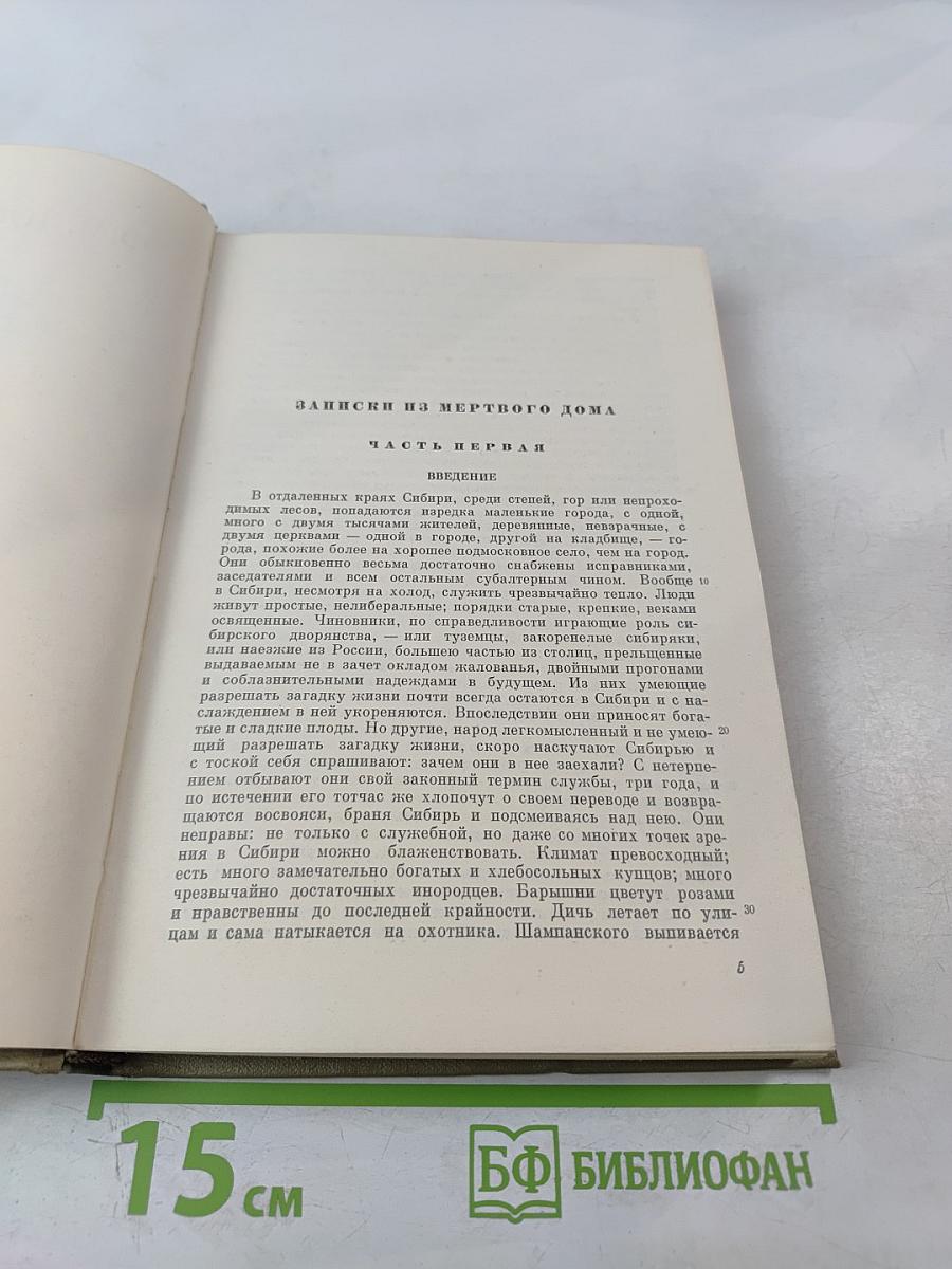 Записки из Мертвого дома. Том четвертый
