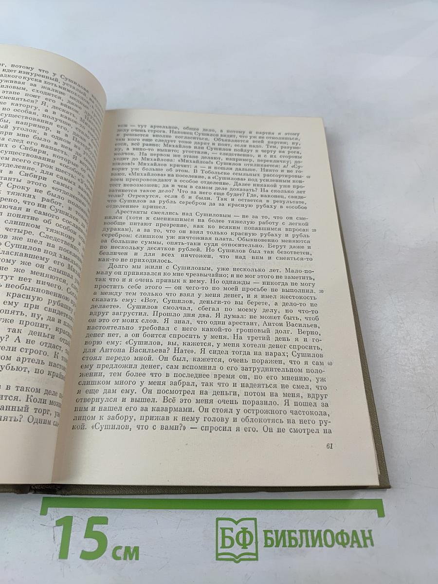 Записки из Мертвого дома. Том четвертый