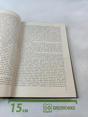 Записки из Мертвого дома. Том четвертый