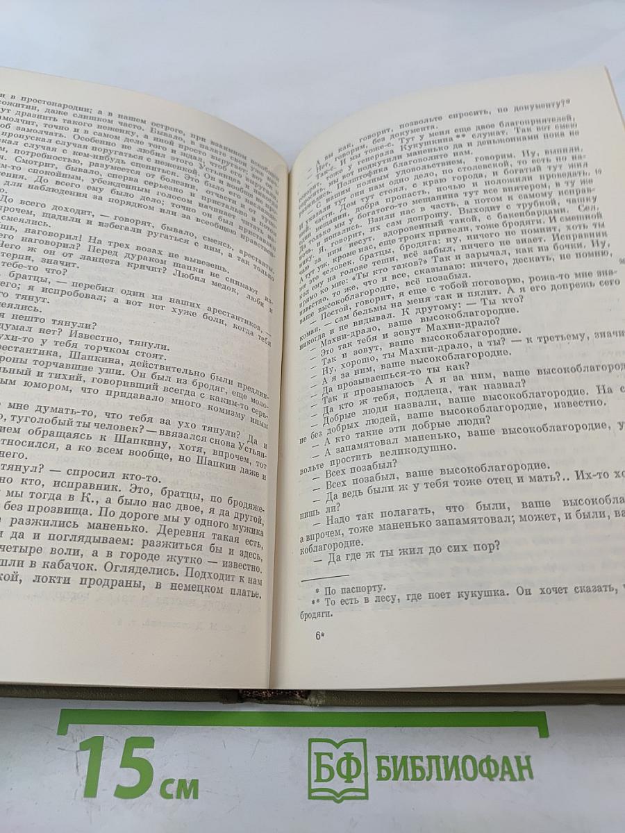 Записки из Мертвого дома. Том четвертый