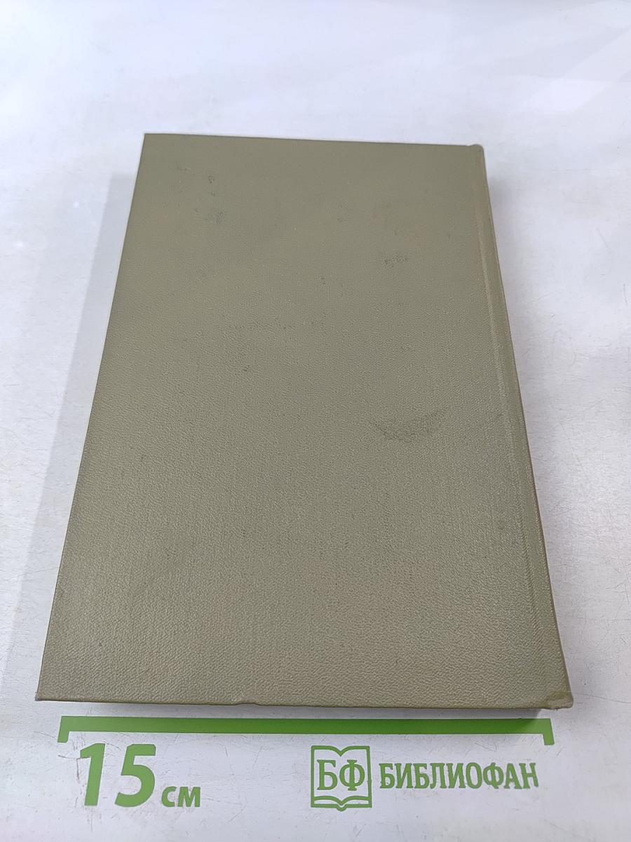 Записки из Мертвого дома. Том четвертый