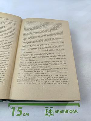 Браво, или в Венеции. Морская волшебница, или Бороздющий воды