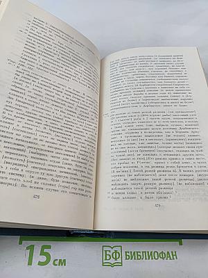 Полное собрание сочинений и писем. Сочинения. Том четырнадцатый-пятнадцатый: Из Сибири, Остров Сахалин