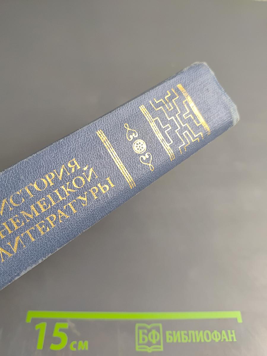 История немецкой литературы