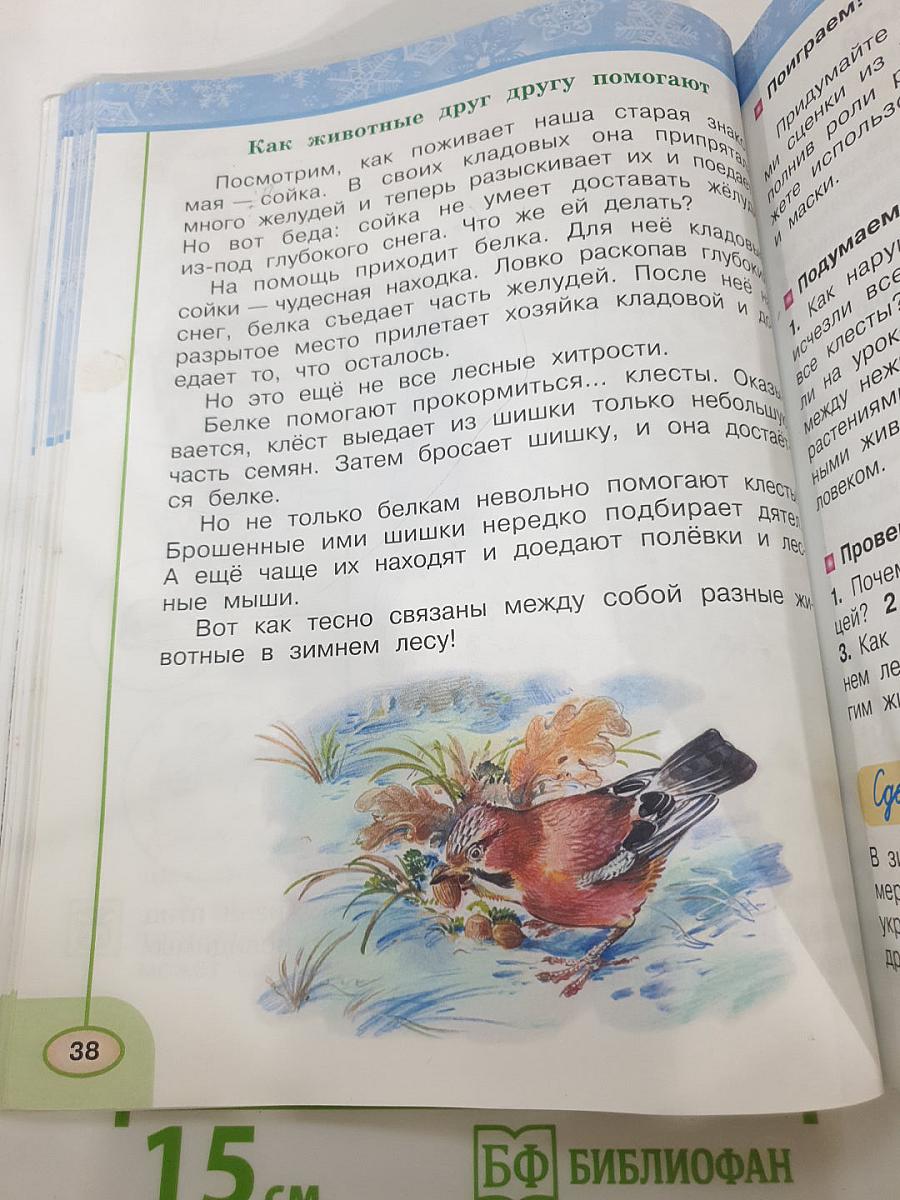 Окружающий мир 2 класс Часть вторая
