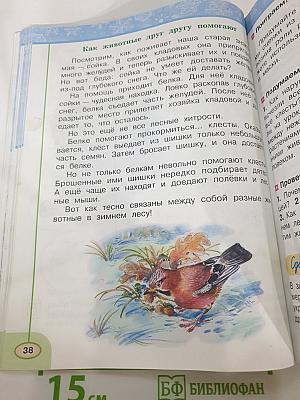 Окружающий мир 2 класс Часть вторая