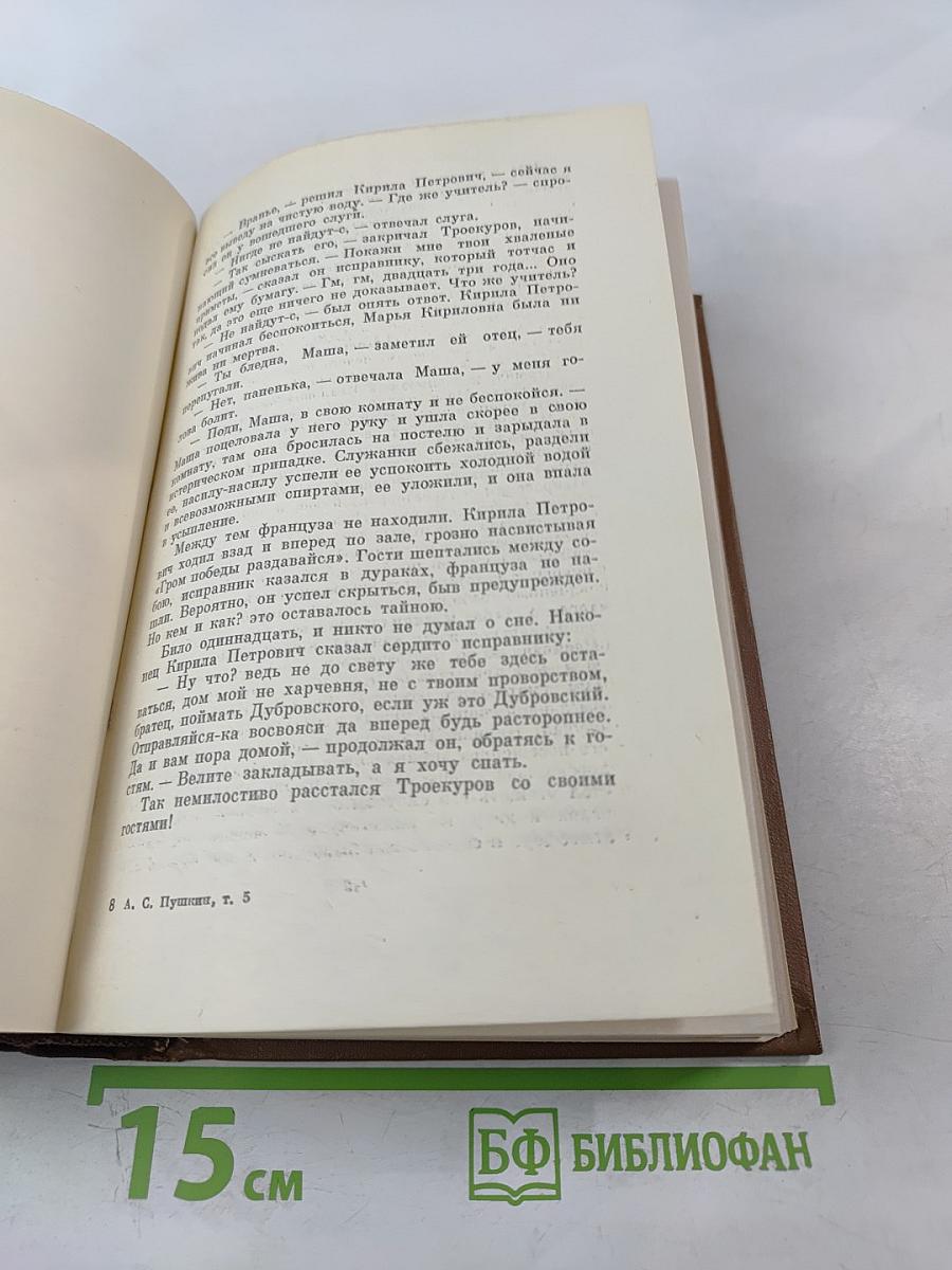 Собрание сочинений. Том пятый: Романы, Повести