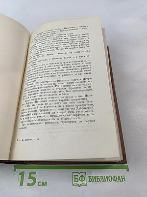 Собрание сочинений. Том пятый: Романы, Повести