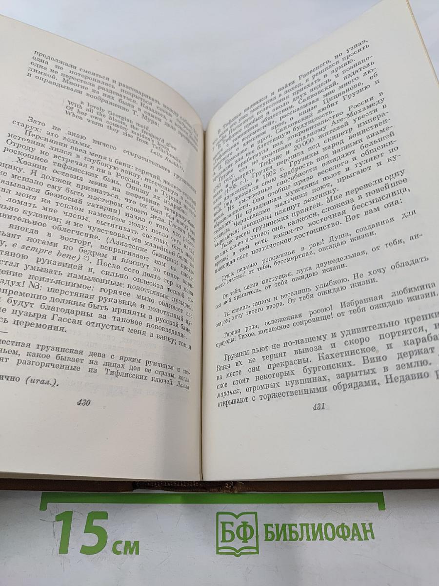 Собрание сочинений. Том пятый: Романы, Повести