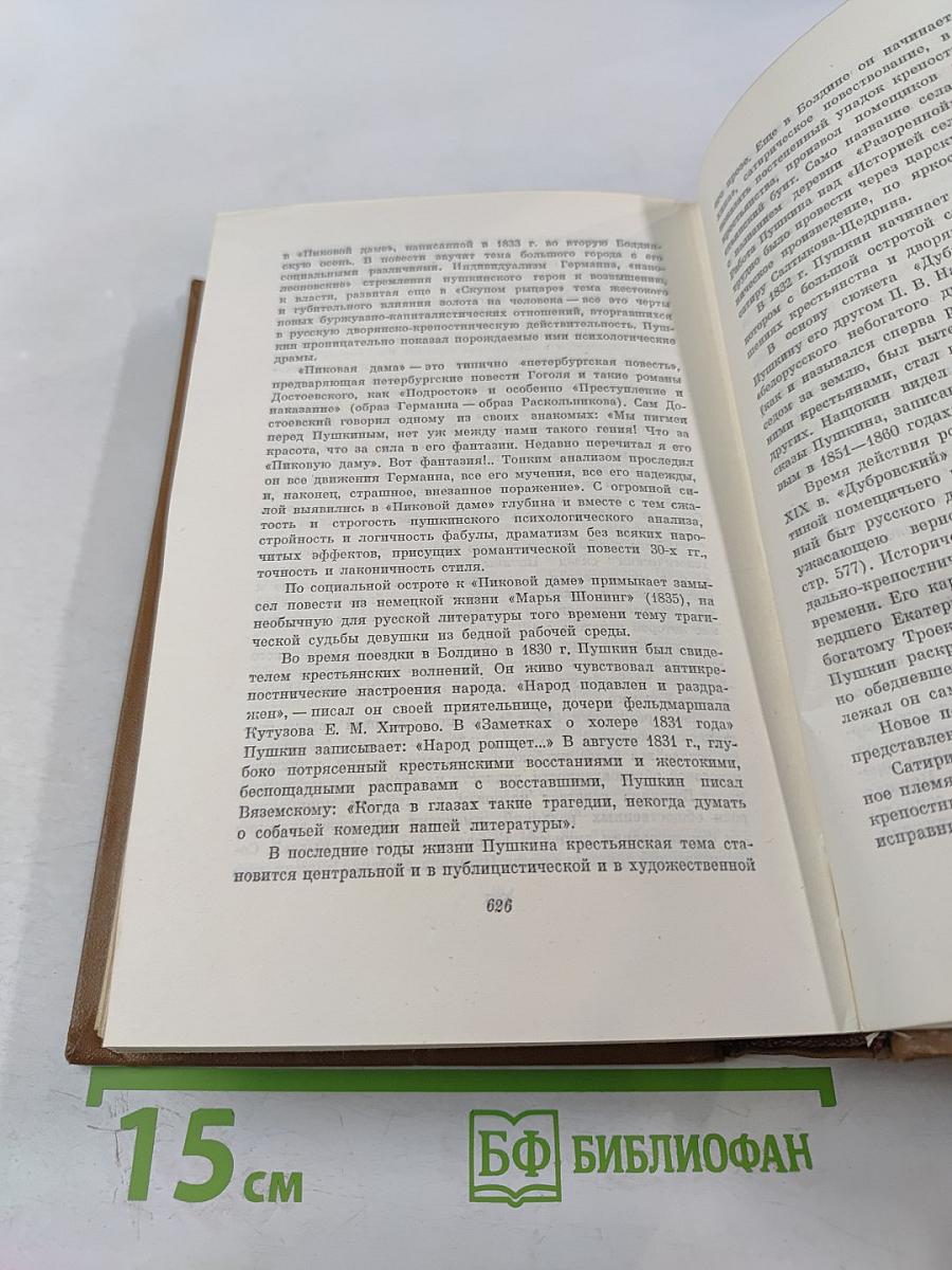 Собрание сочинений. Том пятый: Романы, Повести