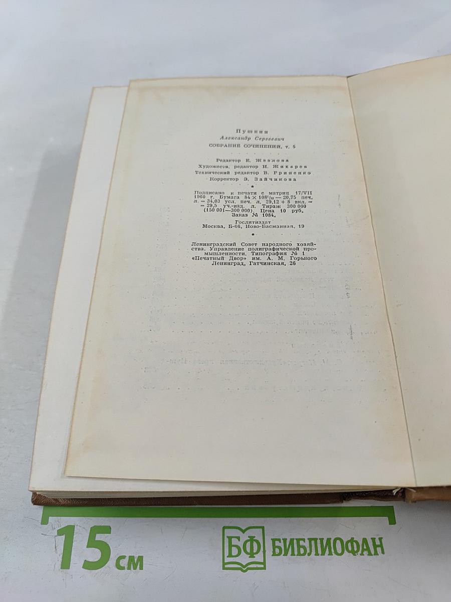 Собрание сочинений. Том пятый: Романы, Повести