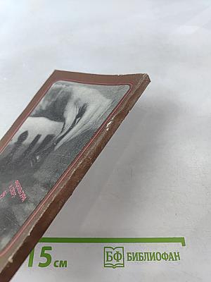 Ваш первый ход