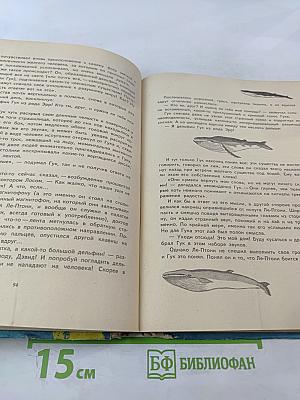 Приключения Гука