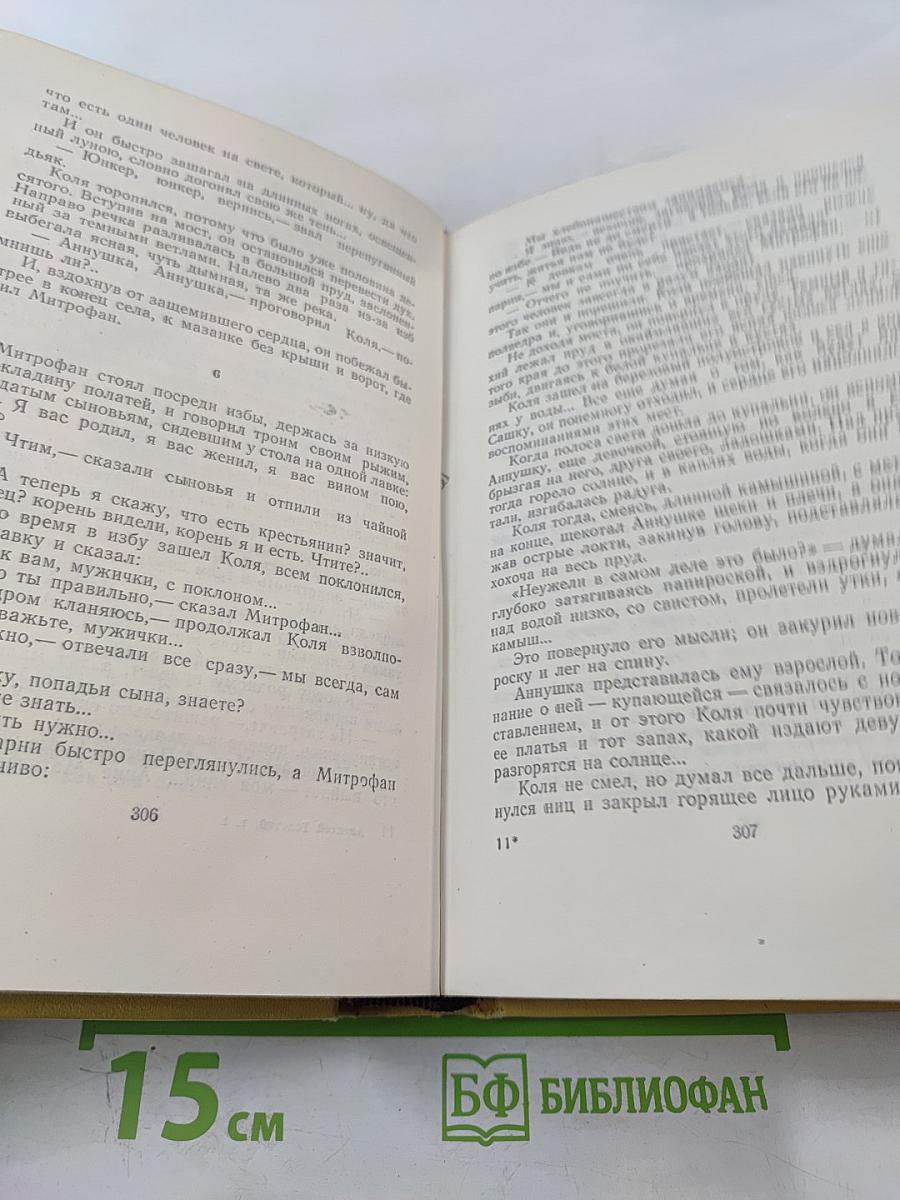 Собрание сочинений. Том первый. Повести и рассказы 1908-1911. Чудаки. Роман