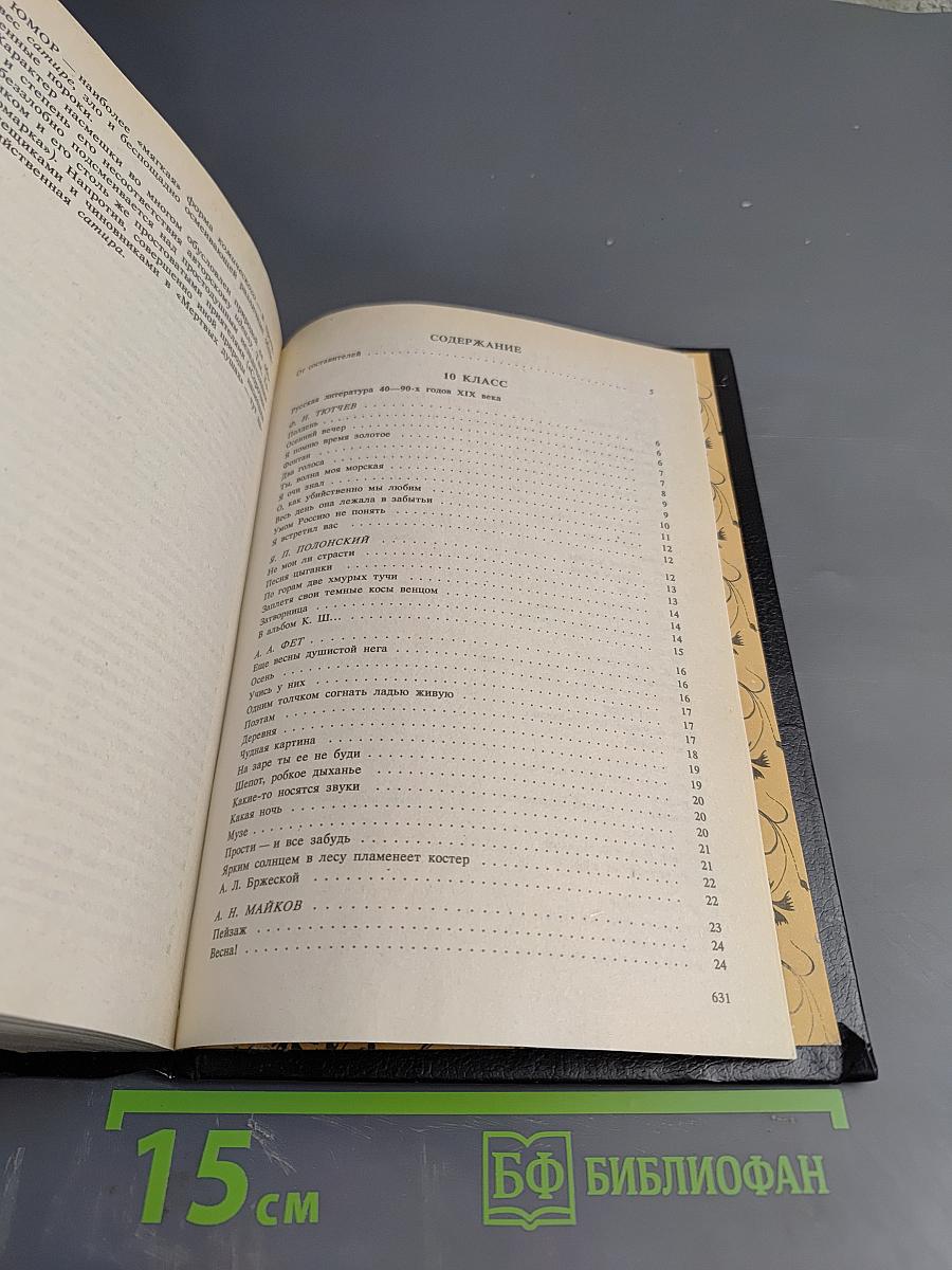 Хрестоматия по литературе для 10–11 классов