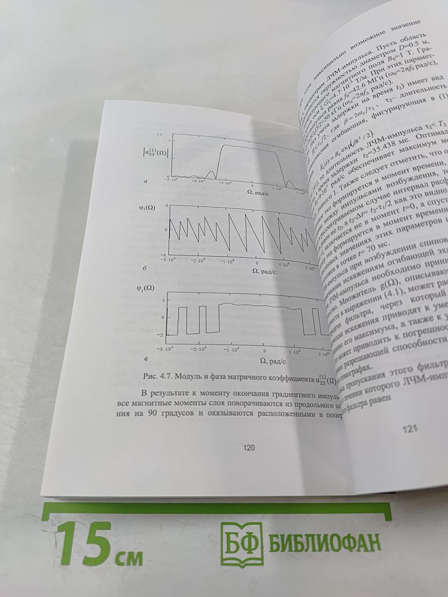 Возбуждение спинового и фотонного эха импульсами сложной формы