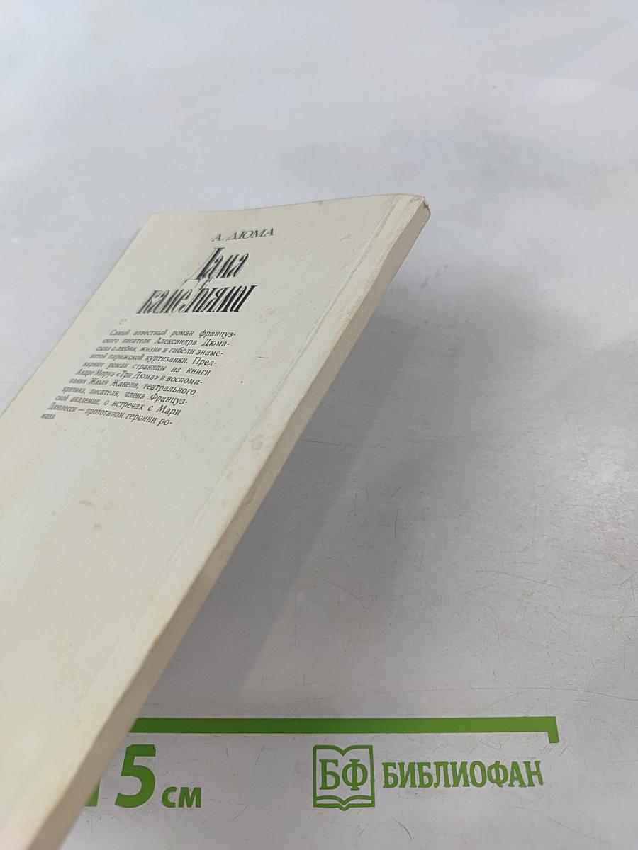 Дама с камелиями