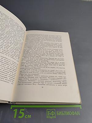 Золотая решетка