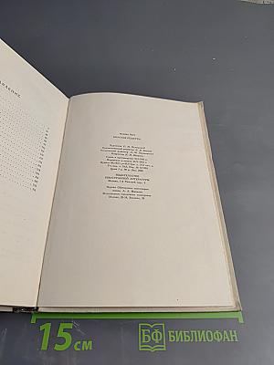 Золотая решетка