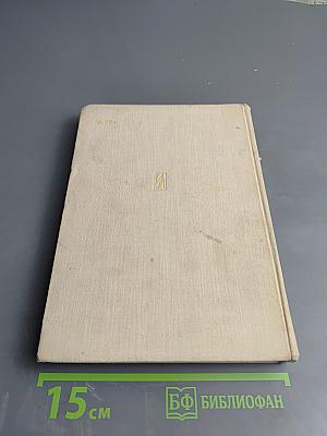 Золотая решетка