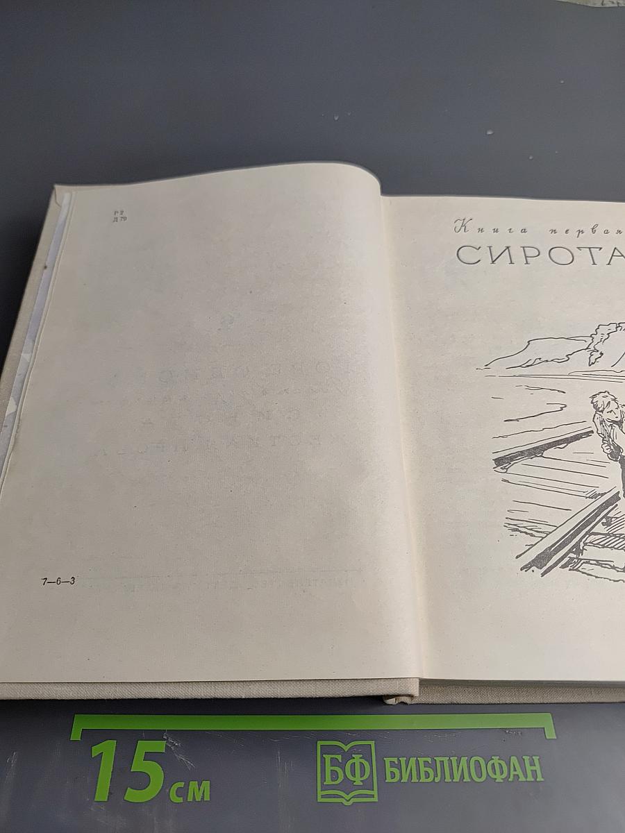 Собрание сочинений. Том второй: Горе одному. Роман в двух книгах: Сирота. Жесткая проба
