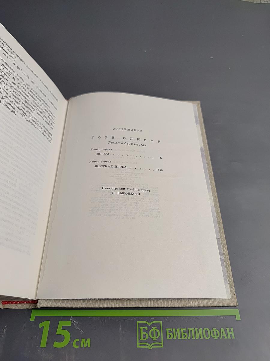 Собрание сочинений. Том второй: Горе одному. Роман в двух книгах: Сирота. Жесткая проба