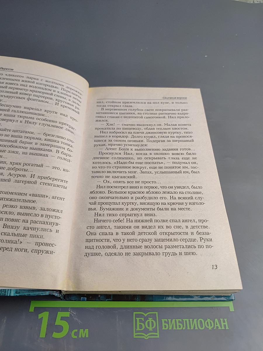Скитания Ворона