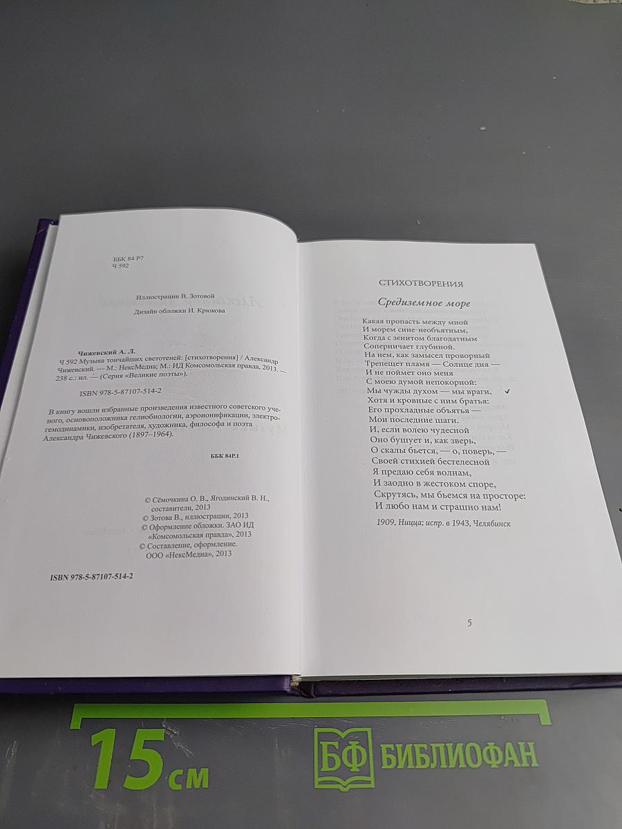 Александр Чижевский. Музыка тончайших светотеней