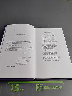 Александр Чижевский. Музыка тончайших светотеней