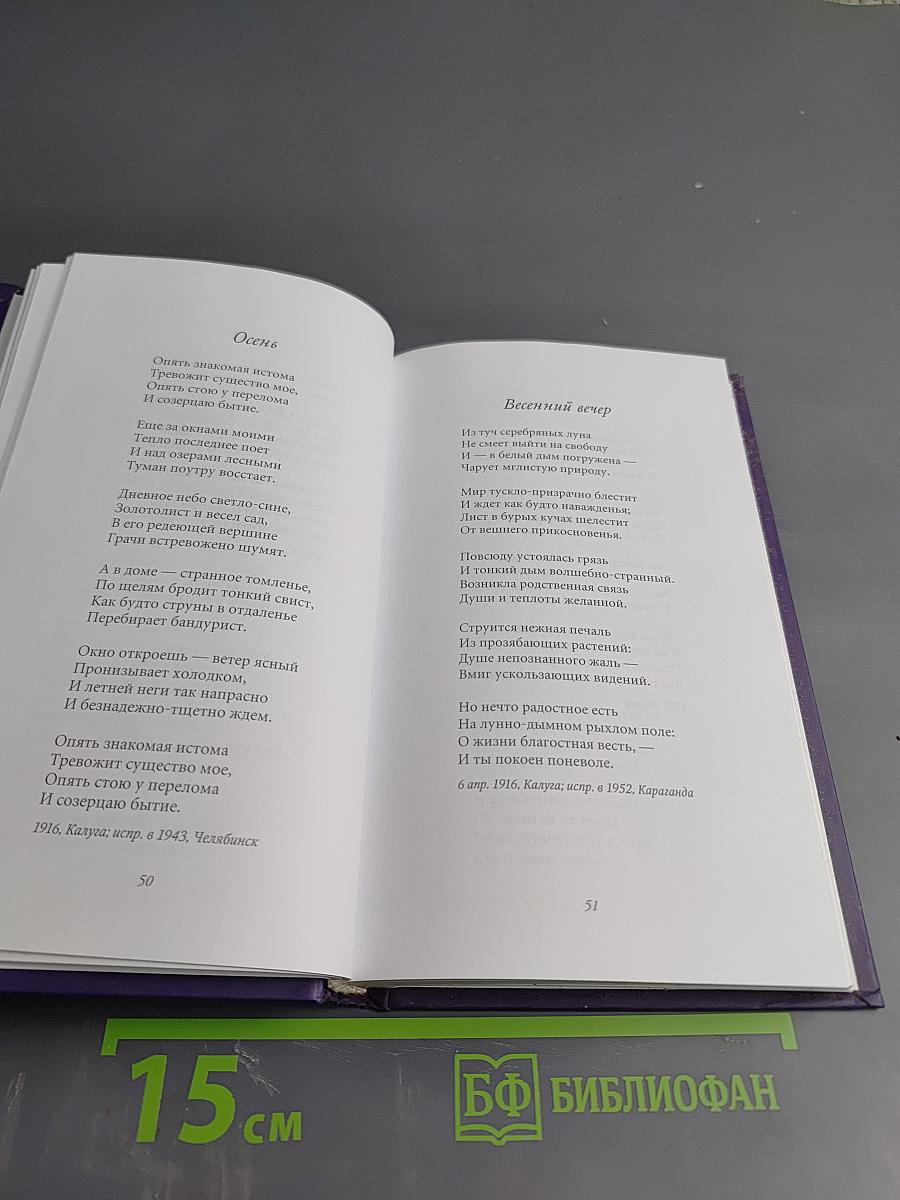 Александр Чижевский. Музыка тончайших светотеней