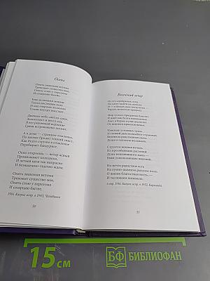 Александр Чижевский. Музыка тончайших светотеней