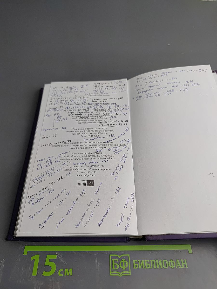 Александр Чижевский. Музыка тончайших светотеней