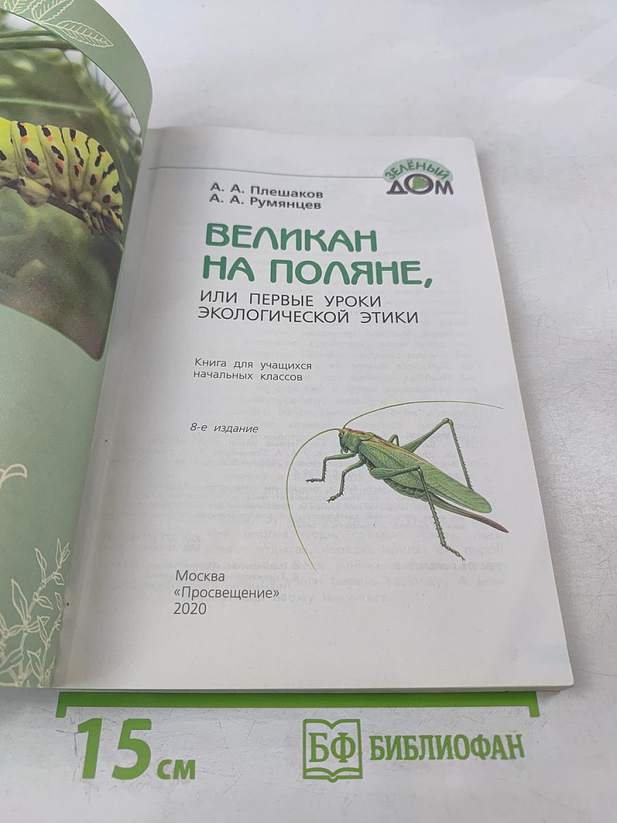 Великан на поляне, или Первые уроки экологической этики