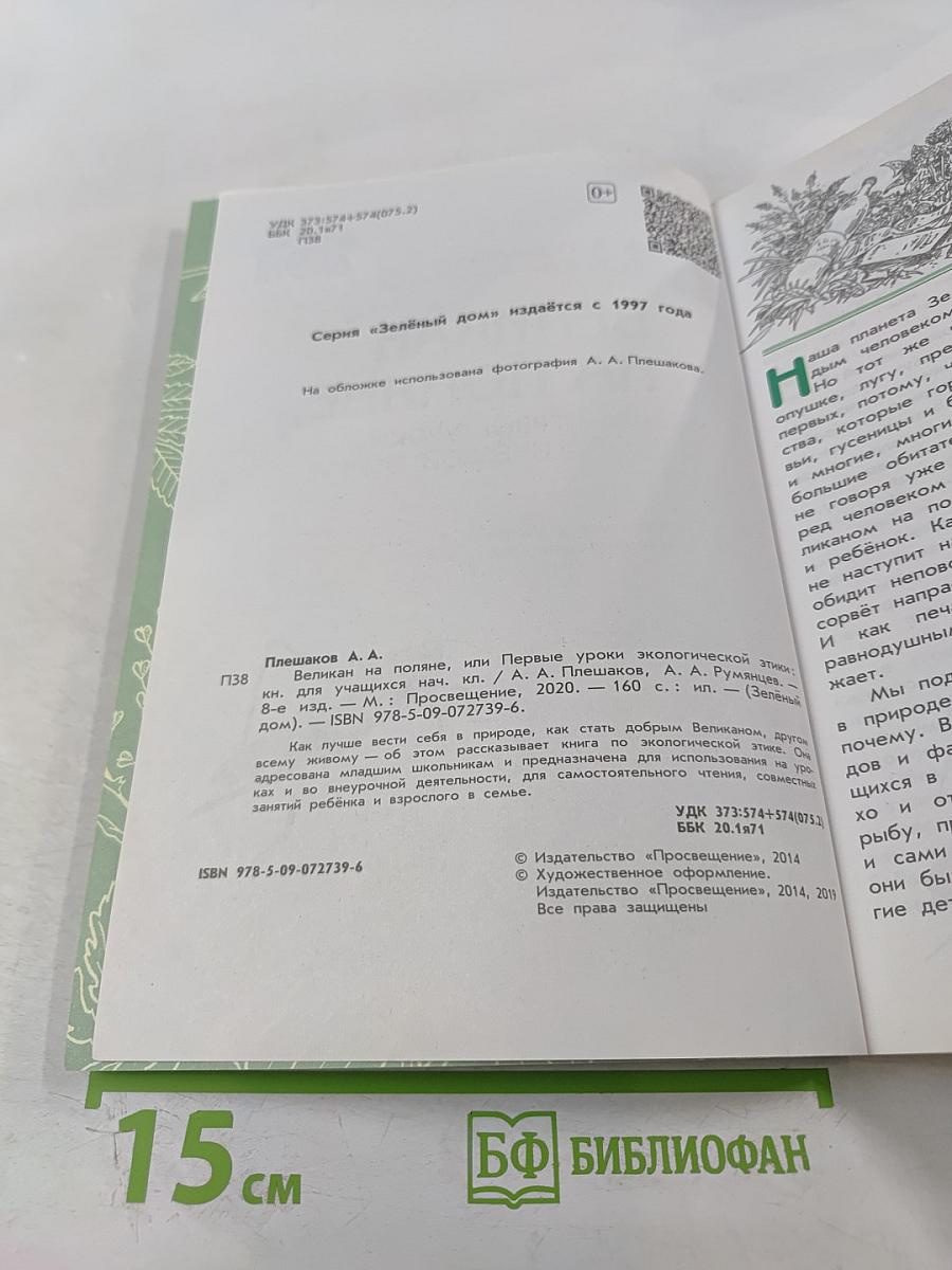 Великан на поляне, или Первые уроки экологической этики