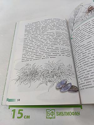 Великан на поляне, или Первые уроки экологической этики