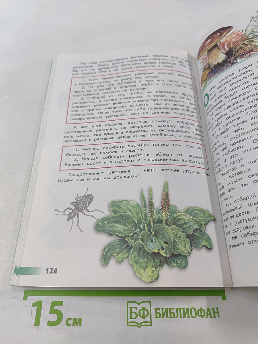 Великан на поляне, или Первые уроки экологической этики