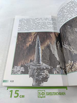Великан на поляне, или Первые уроки экологической этики