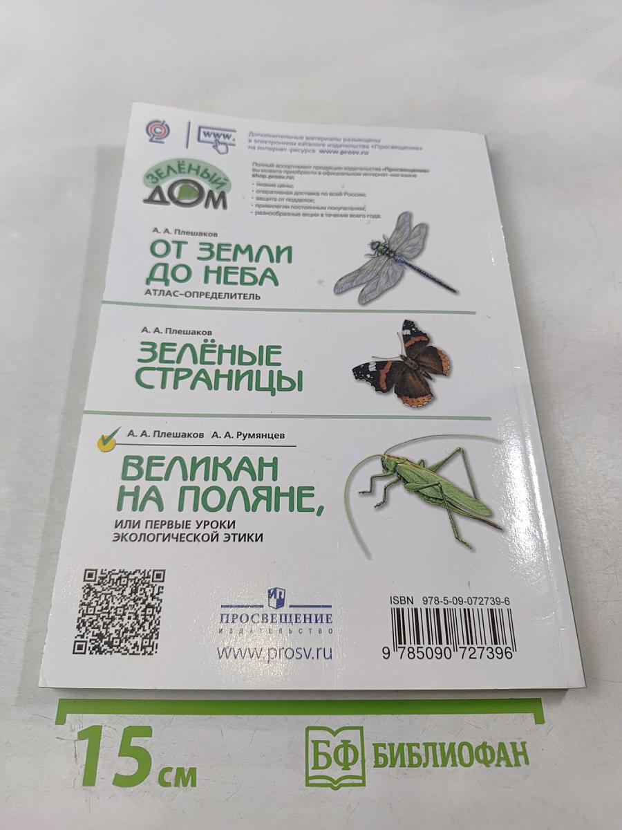 Великан на поляне, или Первые уроки экологической этики