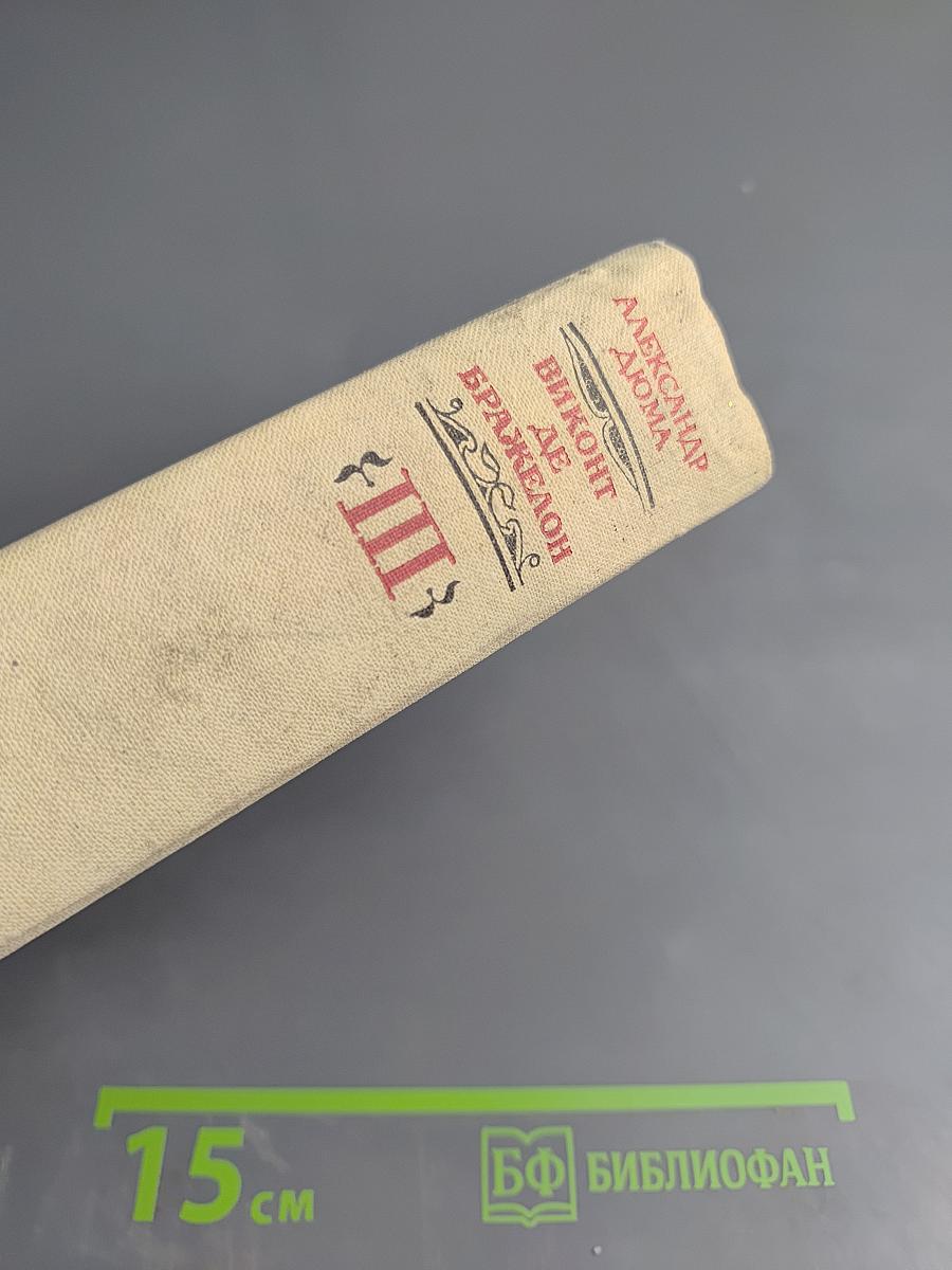 Виконт де Бражелон, или Десять лет спустя. Том III. Части 5, 6