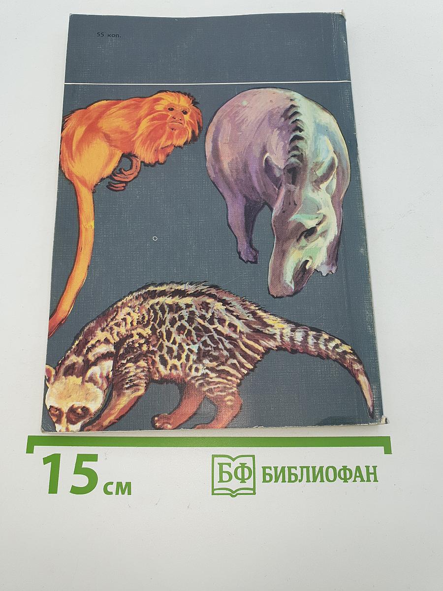 Ковчег на острове