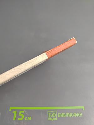 Друг Пушкина Павел Войнович Нащокин