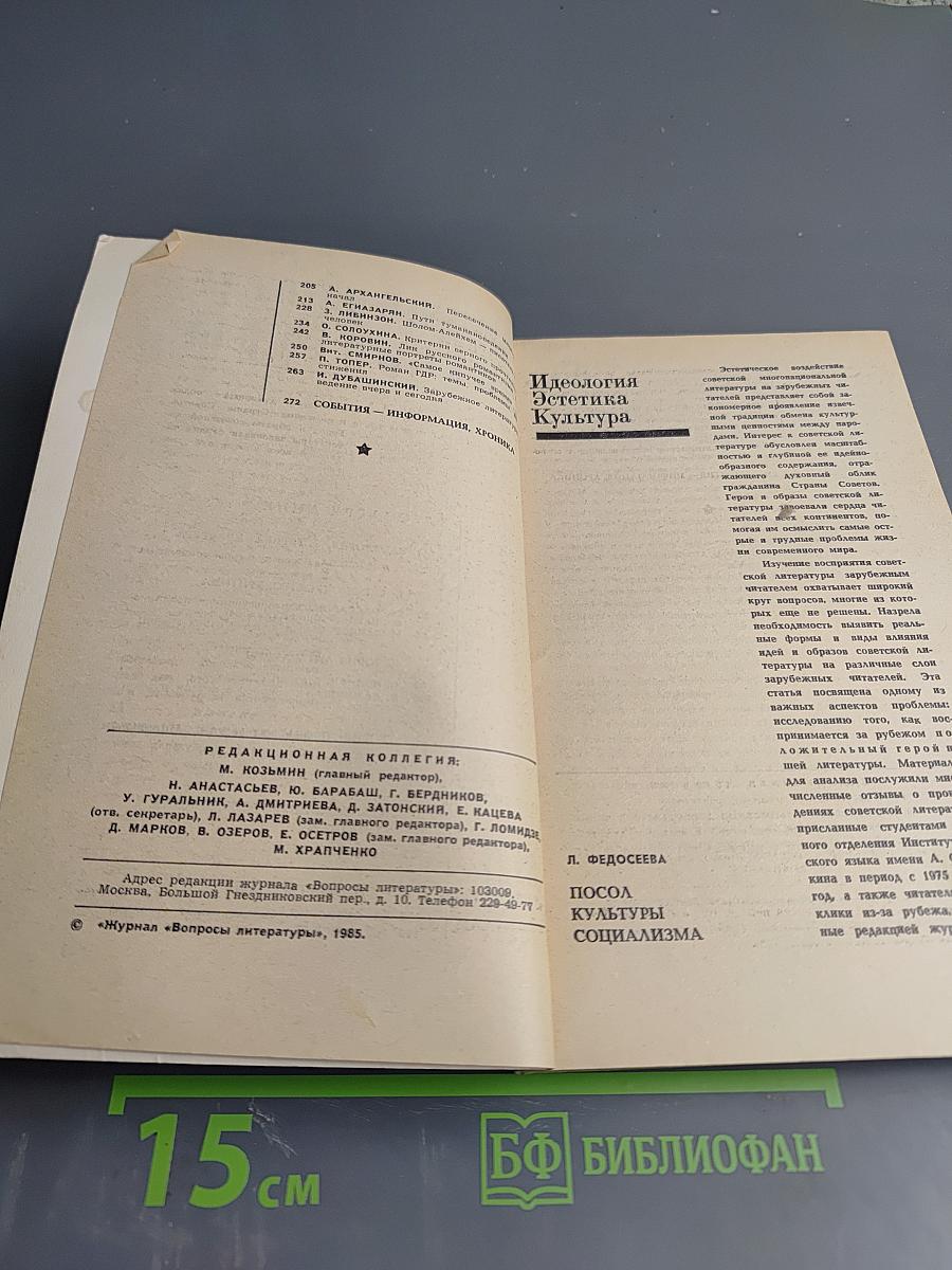 Вопросы литературы № 8